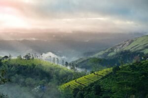 Breathtaking view of lush green hills and mist in Vagamon, Kerala.